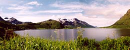 Fjord panorama