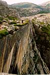 Rotskleuren Preikestolen